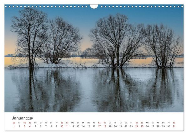 Produktbild: B&auml;ume - Gelebtes Leben (Wandkalender 2026 DIN A3 quer), CALVENDO Monatskalender