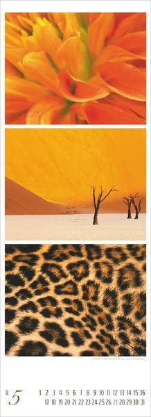 Produktbild: Colours of Nature - Triplets 2027