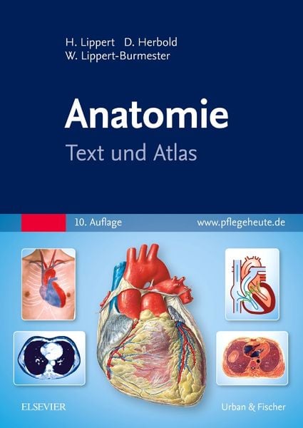 Anatomie, Taschenbuch von Herbert Lippert,Desiree Herbold,Wunna Lippert-Burmester, Urban & Fischer in Elsevier, 978-3-437-26183-1