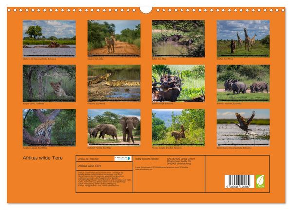 Produktbild: Afrikas wilde Tiere (Wandkalender 2026 DIN A3 quer), CALVENDO Monatskalender