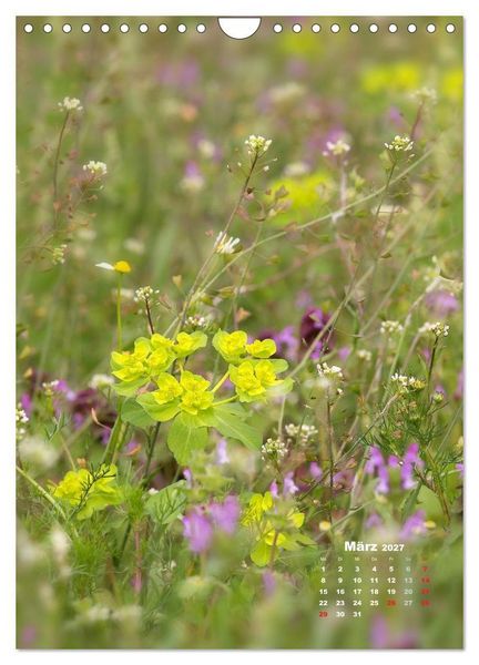 Produktbild: Ein Spaziergang &uuml;ber eine Sommerwiese (Wandkalender 2027 DIN A4 hoch), CALVENDO Monatskalender