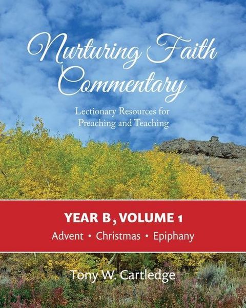 Produktbild: Nurturing Faith Commentary, Year B, Volume 1