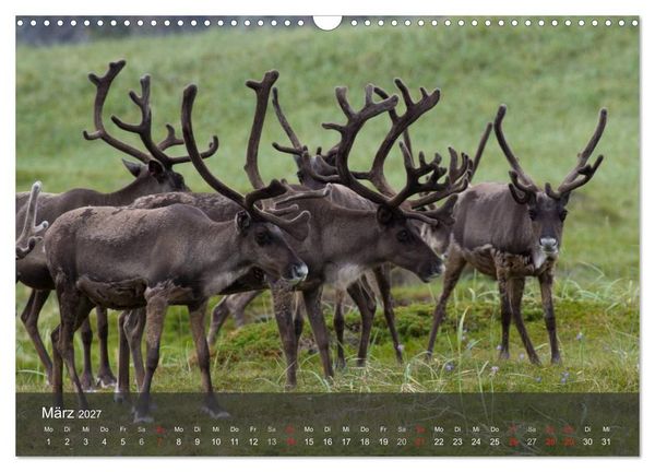 Produktbild: Lappland 2027 (Wandkalender 2027 DIN A3 quer), CALVENDO Monatskalender
