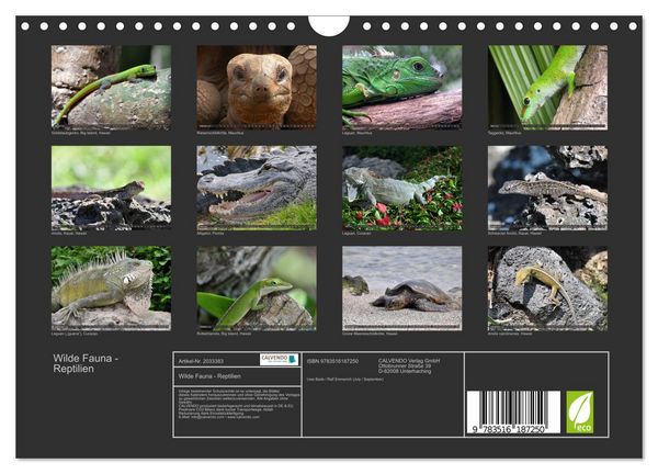 Produktbild: Wilde Fauna - Reptilien (Wandkalender 2026 DIN A4 quer), CALVENDO Monatskalender