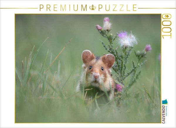 Produktbild: CALVENDO Puzzle Ein Motiv aus dem Kalender Moments in Nature | 1000 Teile Lege-Gr&ouml;&szlig;e 64x48cm Foto-Puzzle f&uuml;r gl&uuml;ckliche Stunden