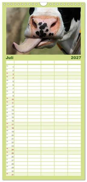Produktbild: Familienplaner 2027 - Muuuhhh! mit 5 Spalten (Wandkalender, 21 x 45 cm) CALVENDO