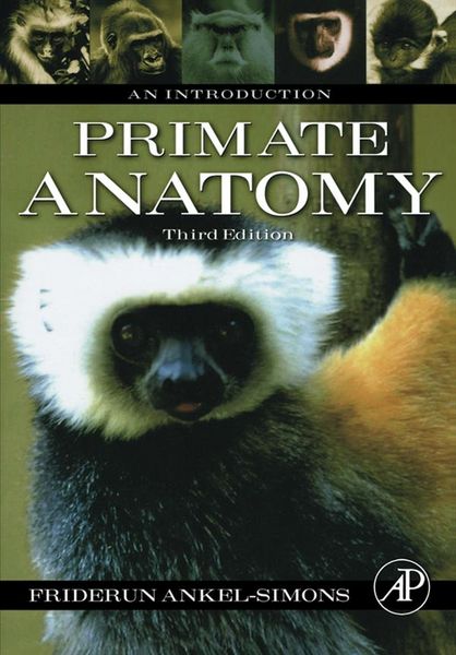 Produktbild: Primate Anatomy