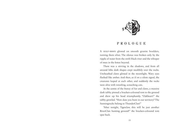 Produktbild: Warrior Cats Into Wild Pb