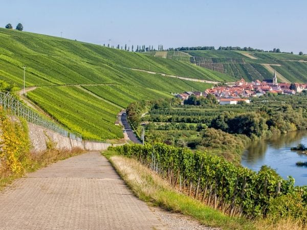 Produktbild: CALVENDO Puzzle Fr&auml;nkische Toskana mit Blick auf die ber&uuml;hmte Weinlage Escherndorfer Lump 1000 Teile Puzzle quer | 1000 Teile Lege-Gr&ouml;&szlig;e 64 &times; 48 cm Foto-Puzzle f&uuml;r gl&uuml;ckliche Stunden