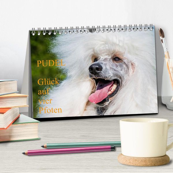 Produktbild: Pudel - Gl&uuml;ck auf vier Pfoten (Tischkalender 2026 DIN A5 quer), CALVENDO Monatskalender