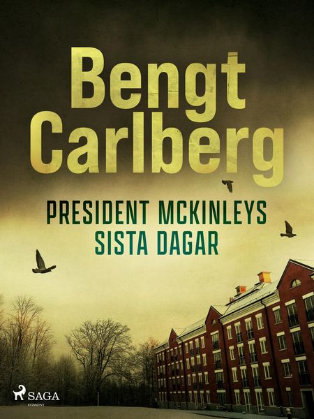 Produktbild: President McKinleys sista dagar
