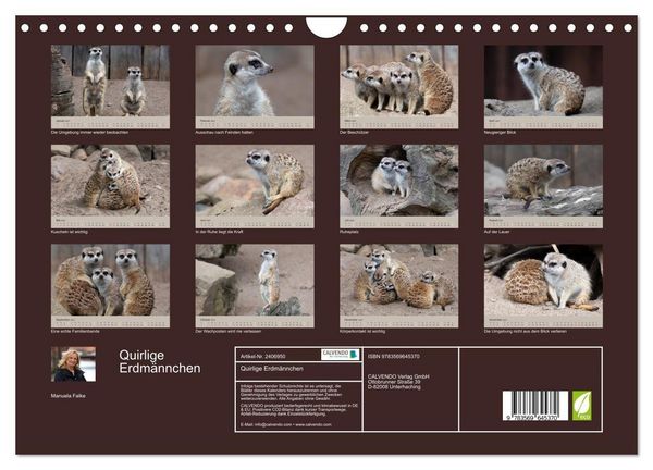 Produktbild: Quirlige Erdm&auml;nnchen (Wandkalender 2027 DIN A4 quer), CALVENDO Monatskalender