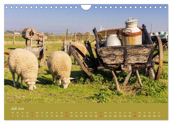Produktbild: M&ouml;n, Impressionen einer d&auml;nischen Insel (Wandkalender 2026 DIN A4 quer), CALVENDO Monatskalender