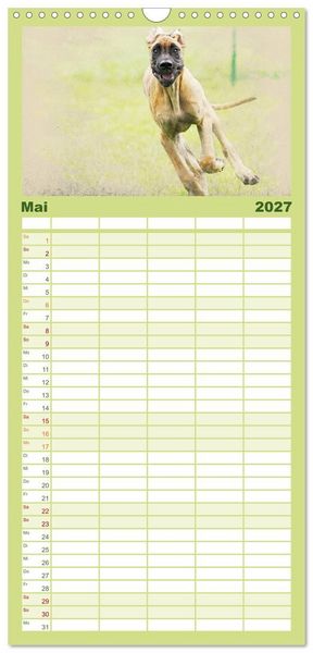 Produktbild: Familienplaner 2027 - Hundewelpen 2027 mit 5 Spalten (Wandkalender, 21 x 45 cm) CALVENDO