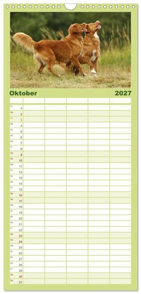 Produktbild: Familienplaner 2027 - Nova Scotia Duck Tolling Retriever mit 5 Spalten (Wandkalender, 21 x 45 cm) CALVENDO