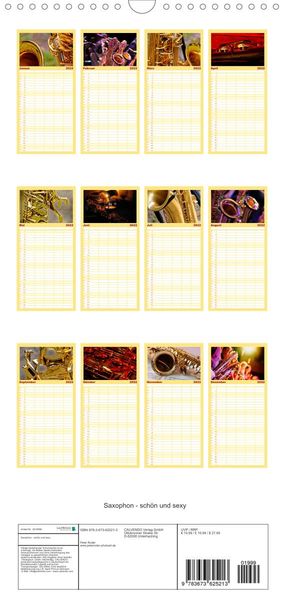 Produktbild: Familienplaner Saxophon - sch&ouml;n und sexy (Wandkalender 2022 , 21 cm x 45 cm, hoch)