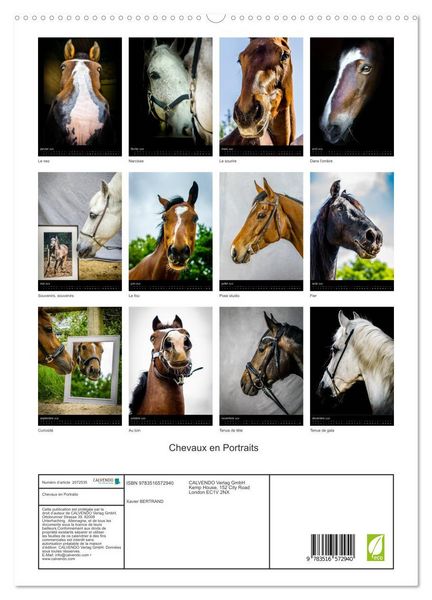 Produktbild: Chevaux en Portraits (Calendrier mural 2026 DIN A2 horizontal) calendrier de bureau