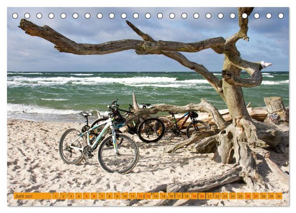 Produktbild: Wilder Dar&szlig;er Weststrand (Tischkalender 2027 DIN A5 quer), CALVENDO Monatskalender