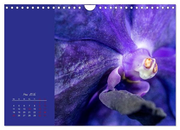 Produktbild: Bl&uuml;tenstil (Wandkalender 2026 DIN A4 quer), CALVENDO Monatskalender