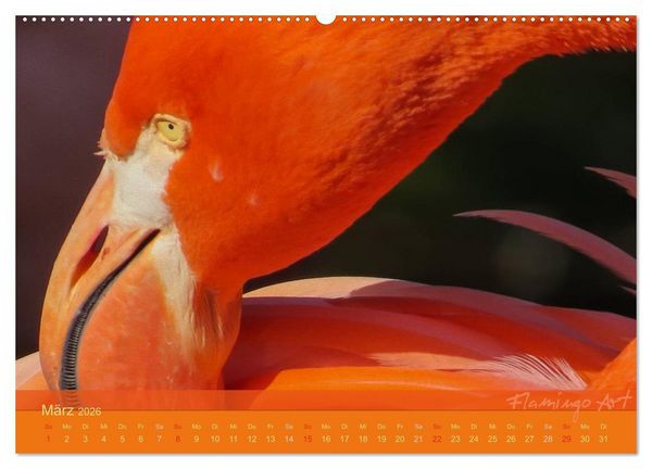 Produktbild: Flamingo Art 2026 (Wandkalender 2026 DIN A2 quer), CALVENDO Monatskalender