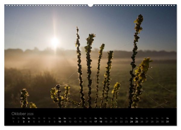 Produktbild: Natur im Detail (Wandkalender 2026 DIN A2 quer), CALVENDO Monatskalender
