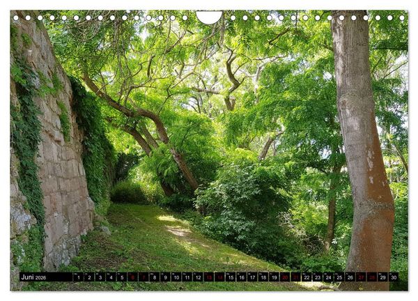 Produktbild: Kyffh&auml;user-Land Stille Landschaften - Geheimnisvolle Orte (Wandkalender 2026 DIN A4 quer), CALVENDO Monatskalender