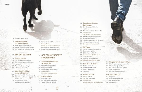 Produktbild: Die Jos&eacute;-Arce-Methode: Liebe Deinen Hund. Wie Sie beim Gassigehen die Beziehung st&auml;rken