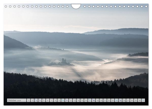 Produktbild: Bunter Pf&auml;lzerwald (Wandkalender 2026 DIN A4 quer), CALVENDO Monatskalender