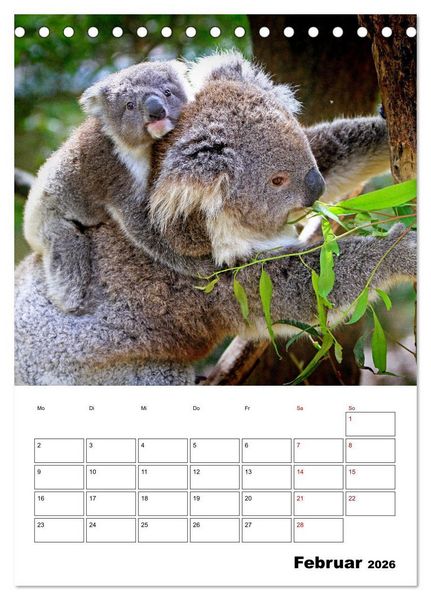 Produktbild: Australiens faszinierende Tierwelt (Tischkalender 2026 DIN A5 hoch), CALVENDO Monatskalender