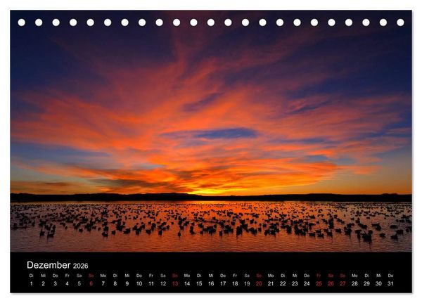 Produktbild: V&ouml;gel & Landschaften (Tischkalender 2026 DIN A5 quer), CALVENDO Monatskalender