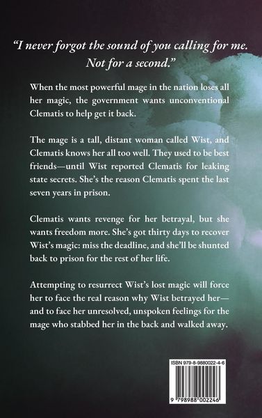 Produktbild: The Lowest Healer and the Highest Mage
