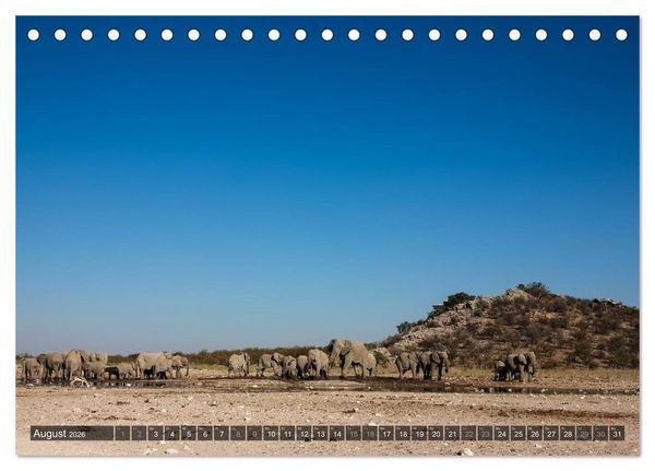 Produktbild: Wildes Namibia (Tischkalender 2026 DIN A5 quer), CALVENDO Monatskalender