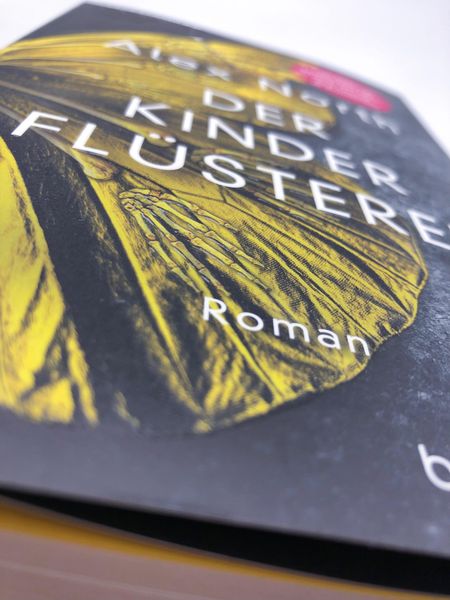Produktbild: Der Kinderfl&uuml;sterer