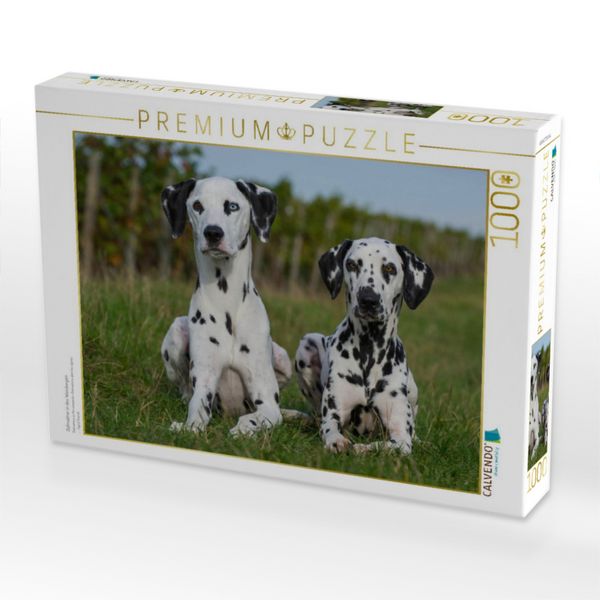 Produktbild: CALVENDO Puzzle Dalmatiner in den Weinbergen | 1000 Teile Lege-Gr&ouml;&szlig;e 64x48cm Foto-Puzzle f&uuml;r gl&uuml;ckliche Stunden