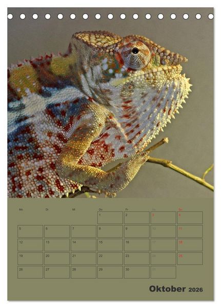 Produktbild: Minidrachen - Die kleinen Nachkommen der Urzeitmonster (Tischkalender 2026 DIN A5 hoch), CALVENDO Monatskalender