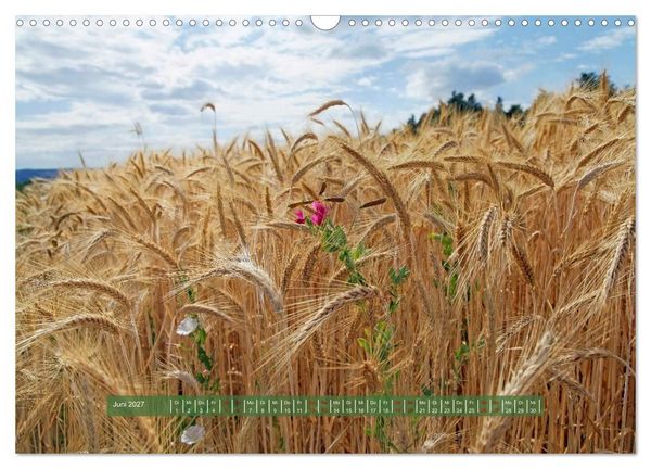 Produktbild: Feldansichten (Wandkalender 2027 DIN A3 quer), CALVENDO Monatskalender