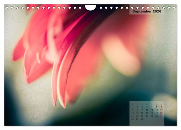 Produktbild: Bl&uuml;ten im Retro-Style (Wandkalender 2026 DIN A4 quer), CALVENDO Monatskalender