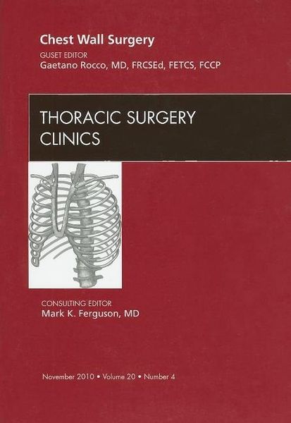 Produktbild: Chest Wall Surgery, an Issue of Thoracic Surgery Clinics
