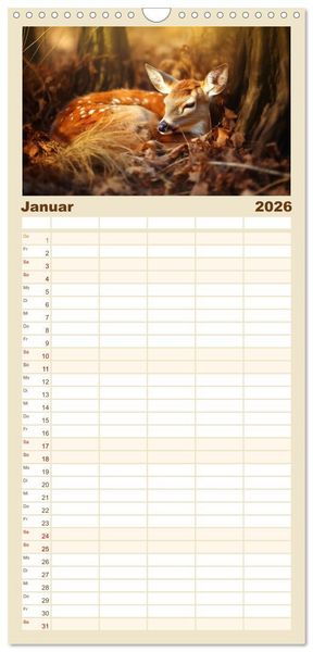 Produktbild: Familienplaner 2026 - Wenn sie schlafen... mit 5 Spalten (Wandkalender, 21 x 45 cm) CALVENDO