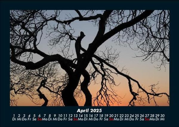 Produktbild: Landschaftskalender 2025 Fotokalender DIN A5