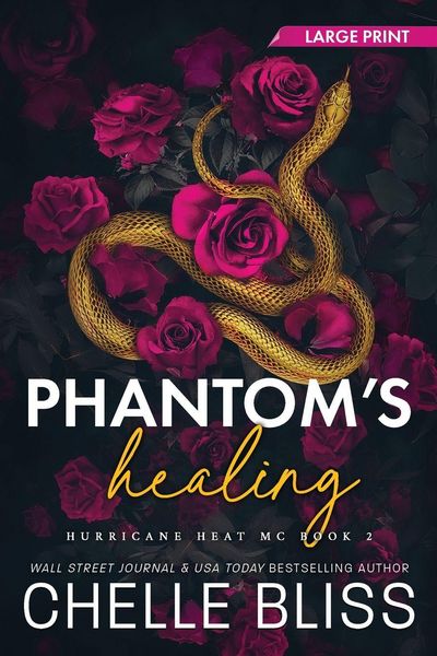 Produktbild: Phantom's Healing