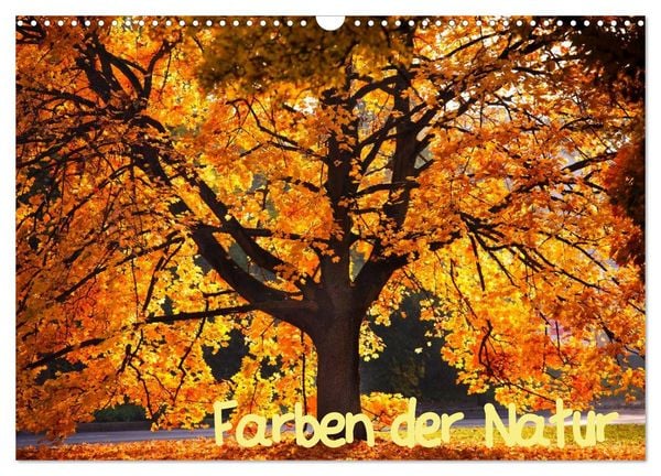 Farben der Natur (Wandkalender 2026 DIN A3 quer), CALVENDO Monatskalender
