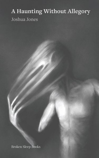 Produktbild: A Haunting Without Allegory