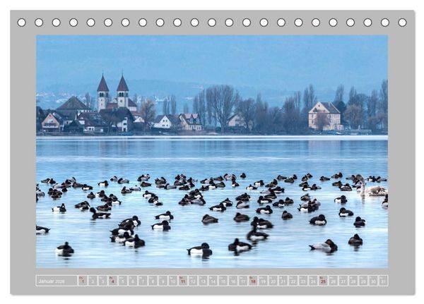 Produktbild: Insel Reichenau - Gr&ouml;&szlig;te Insel im Bodensee (Tischkalender 2026 DIN A5 quer), CALVENDO Monatskalender