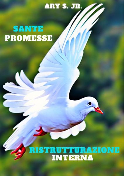 Produktbild: Sante Promesse: Ristrutturazione Interna