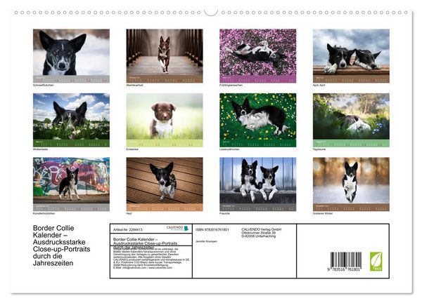 Produktbild: Border Collie Kalender &ndash; Ausdrucksstarke Close-up-Portraits durch die Jahreszeiten (hochwertiger Premium Wandkalender 2027 DIN A2 quer), Kunstdruck in Hochglanz