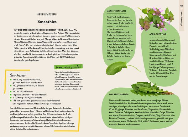 Produktbild: Garden Guide Wildkrautampel