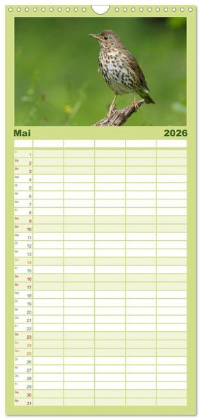 Produktbild: Familienplaner 2026 - V&ouml;gel mit 5 Spalten (Wandkalender, 21 x 45 cm) CALVENDO