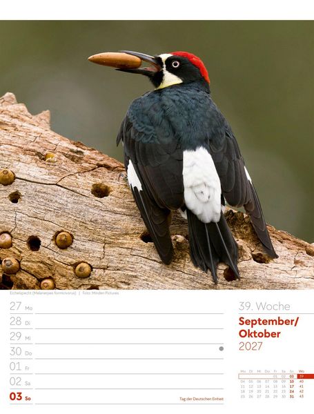 Produktbild: V&ouml;gel Wochenplaner Kalender 2027