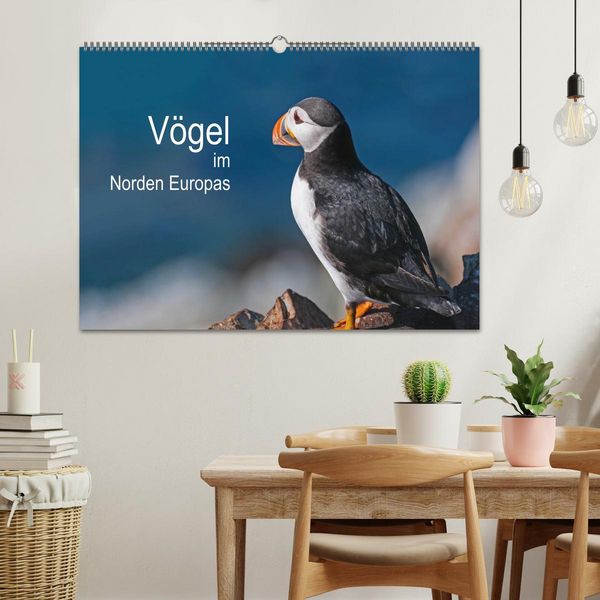Produktbild: V&ouml;gel im Norden Europas (Wandkalender 2026 DIN A2 quer), CALVENDO Monatskalender